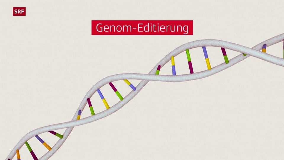 Was ist Genomeditierung?