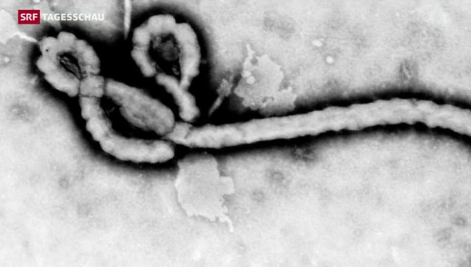 Ebola weiter auf dem Vormarsch