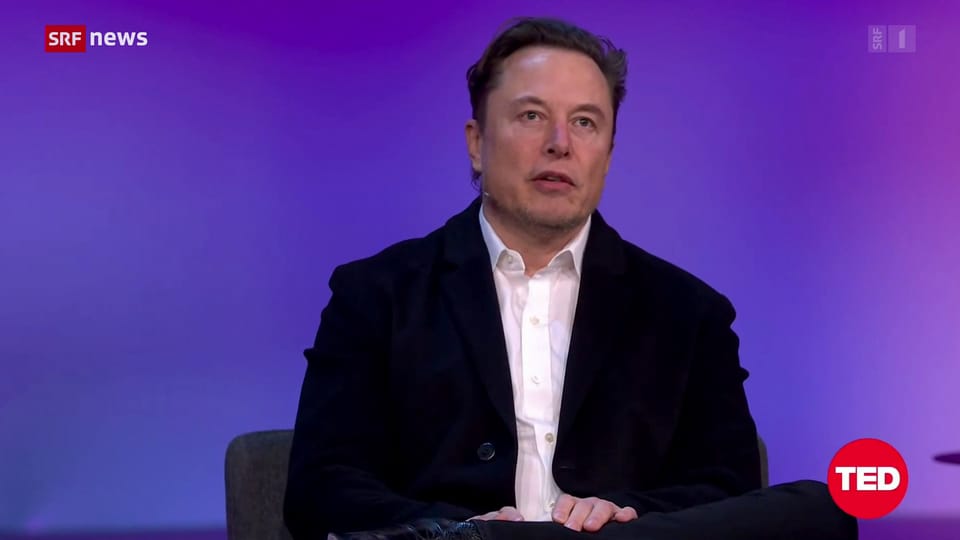 Elon Musk kauft Twitter doch nicht