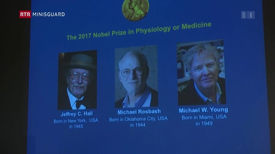 Premi Nobel da medischina per avair perscrutà il durmir