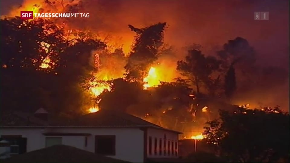 Waldbrände in Portugal breiten sich aus