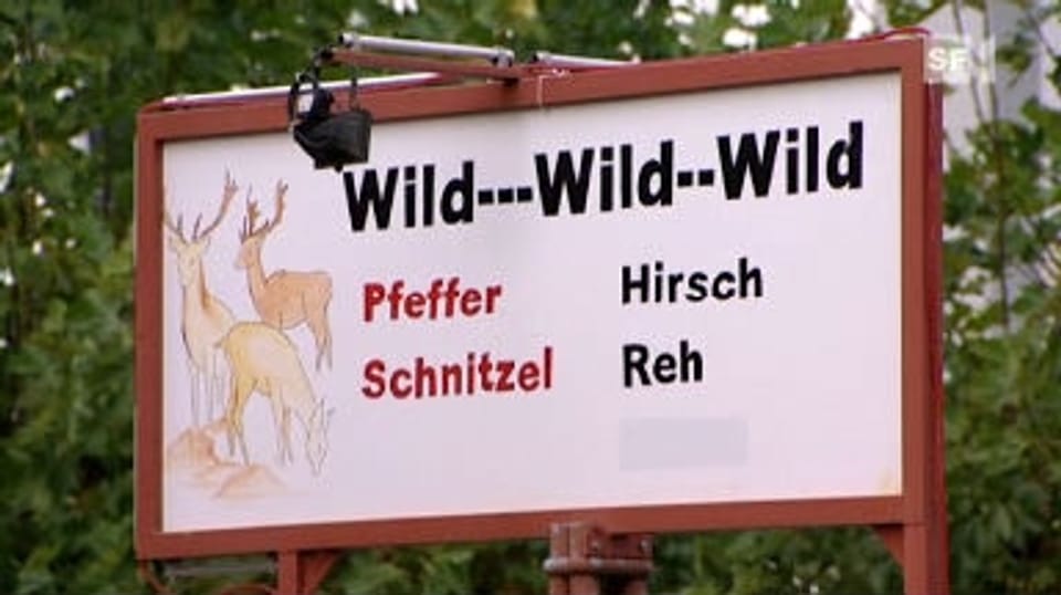 Schweizer Wild: Wirte schummeln bei Herkunft