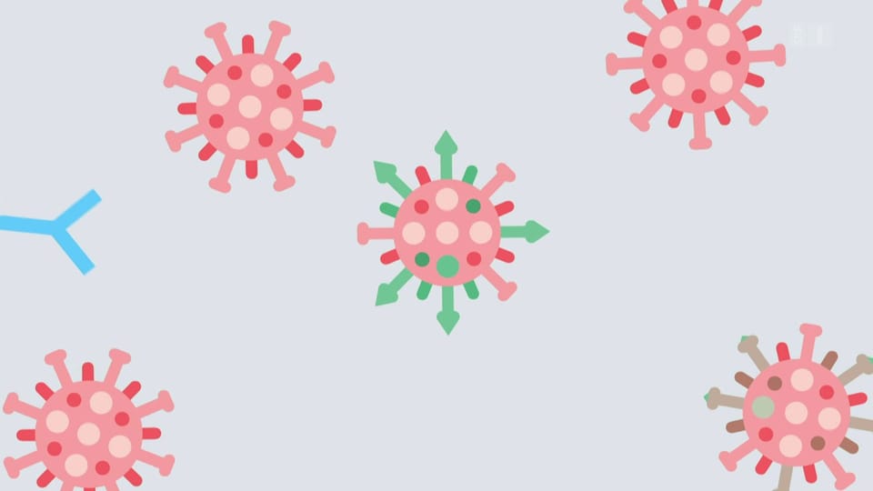 Archiv: Wie die Virusvarianten den Impferfolg gefährden können