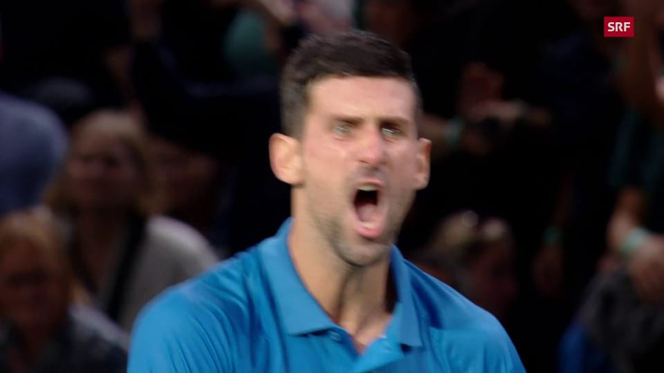 Zusammenfassung Djokovic vs. Tsitsipas
