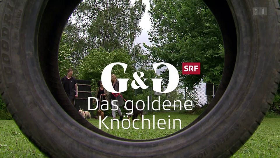 «Das Goldene Knöchlein»: Folge 1