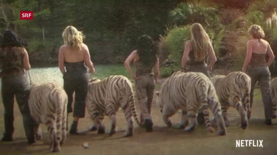 Trailer «Tiger King»