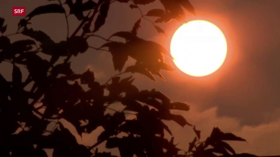 Hitzewelle in Kanada Hitzewelle in Kanada