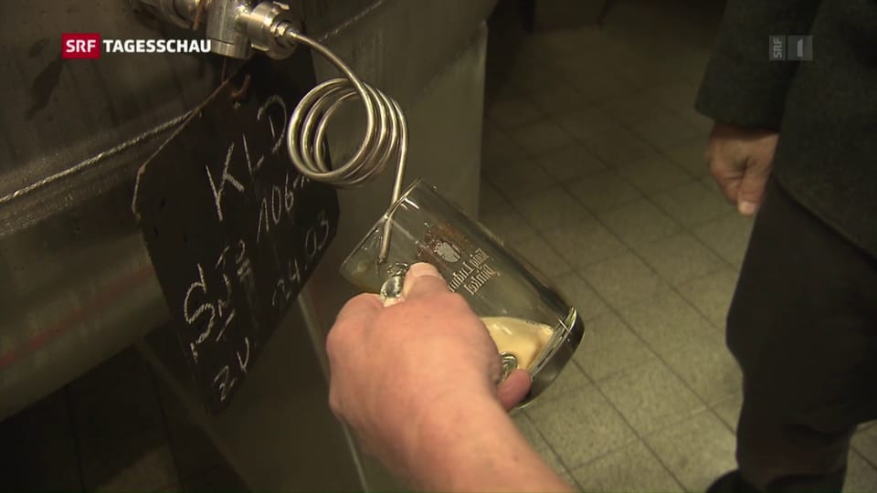 500 Jahre Reinheitsgebot für deutsches Bier