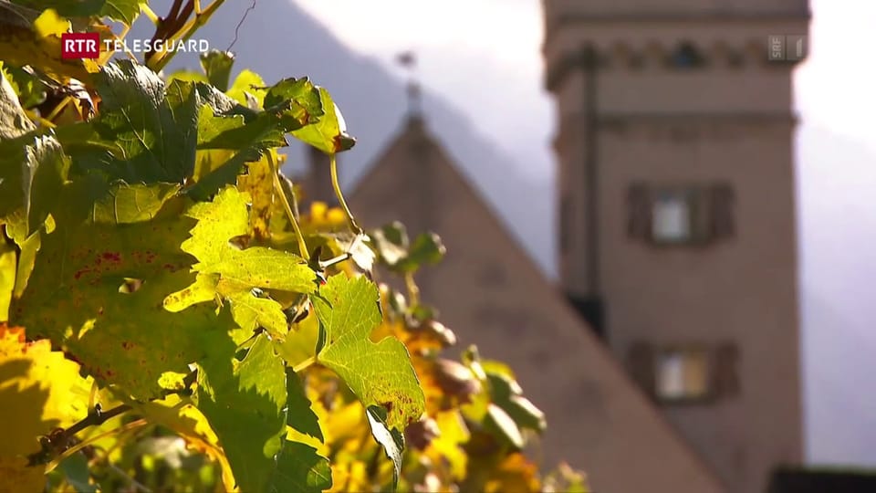 Viticulturs grischuns vulan far anc dapli «vin bio»