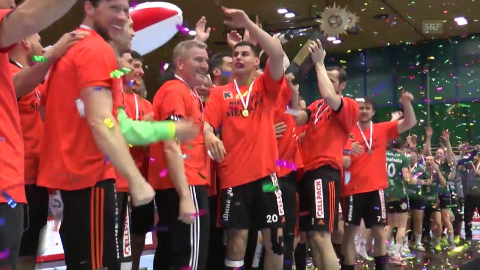 Handball Cupfinal 2016
