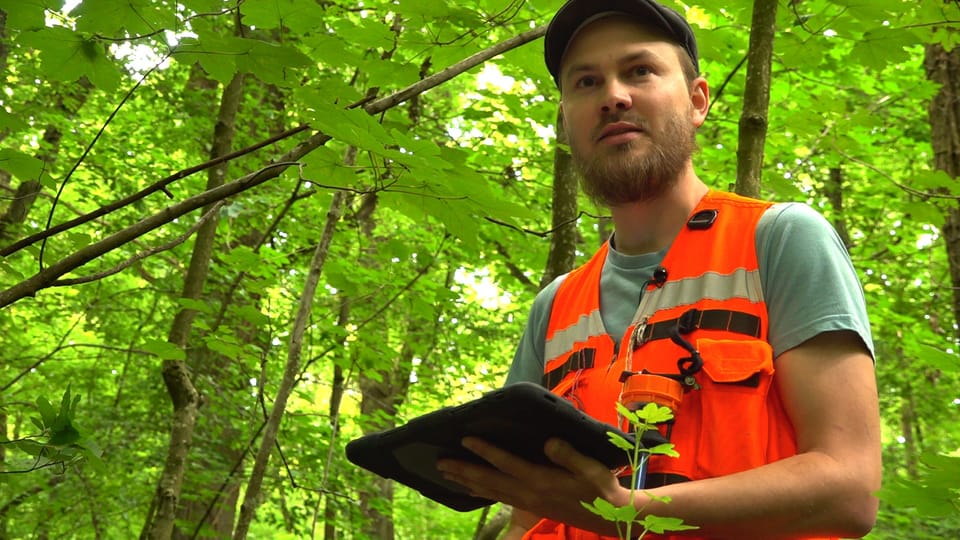 Mit Tablet und GPS bewaffnet vermessen Wissenschafter den Baselbieter Wald.
