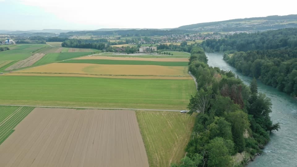 Diese Fläche in Niederwil bleibt Landwirtschaftsland und wird nicht zum Golfplatz – so will es das Aargauer Parlament.