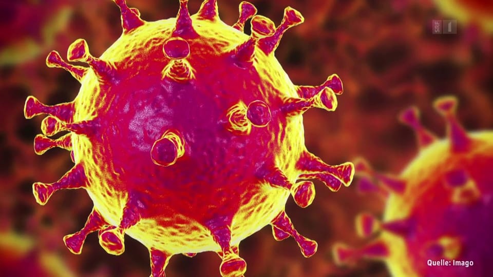 Corona-Virus – wie weiter?
