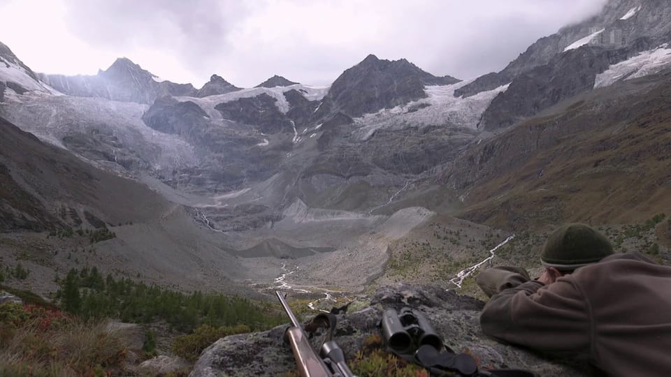 Die Schweiz und die Jagd