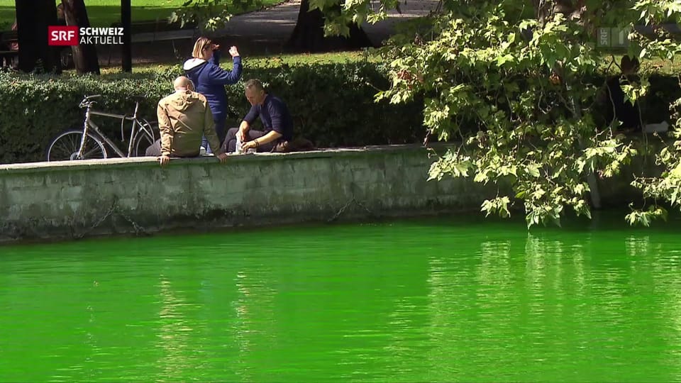 Umweltaktivisten färben in Zürich Limmat giftgrün