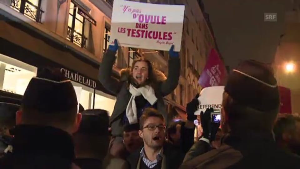 Befürworter der Homo-Ehe demonstrieren in Paris (unkommentiert)