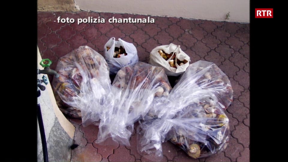 TSG - Confiscau 52 kilos e dapli bulieus da Talians
