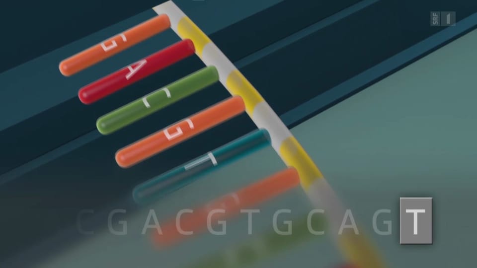 DNA als Datenspeicher: Spinnerei oder schon bald Wirklichkeit?