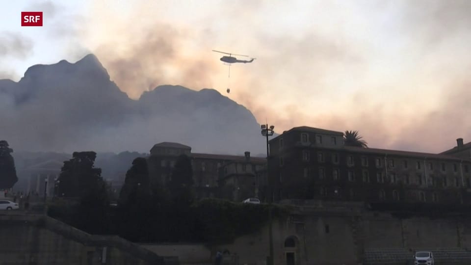 Waldbrand zerstört Teile von Kapstadts Tafelberg