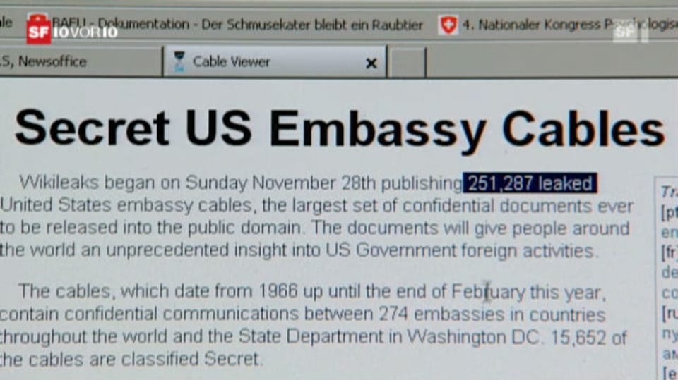 Wikileaks schockt Amerikas Diplomatie