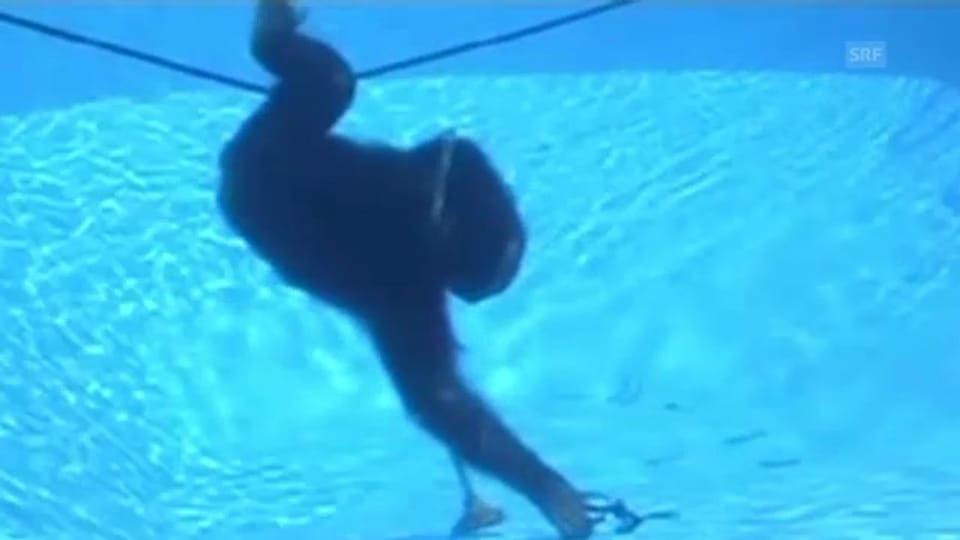 Affe Cooper taucht und schwimmt im Pool (unkommentiert)