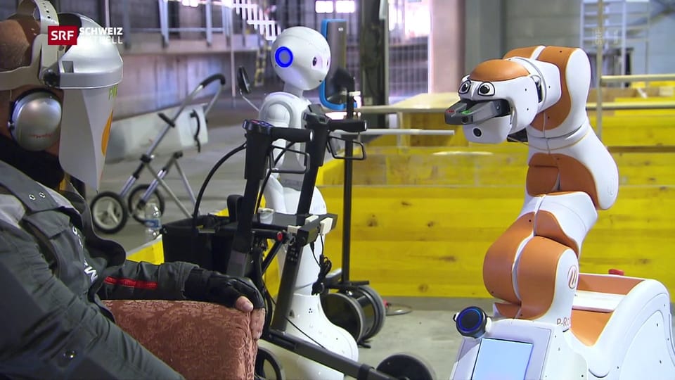Forschungsprojekt: Roboter in Altersheimen