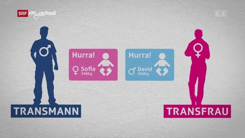 Er – sie – was? – Wenn das Geschlecht nicht fix ist Er – sie – was? – Wenn das Geschlecht nicht fix ist