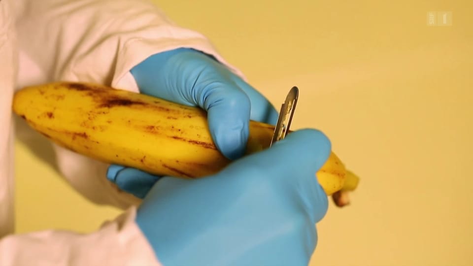 Bananen gegen Hautkrebs