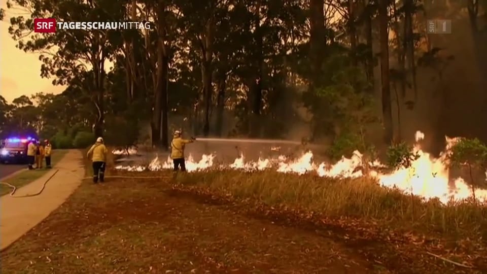 Verheerende Buschbrände im Osten Australiens