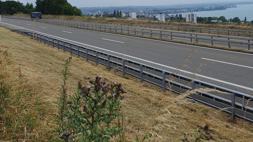 Steinhaufen oder Asthügel für mehr Biodiversität an Autobahnen