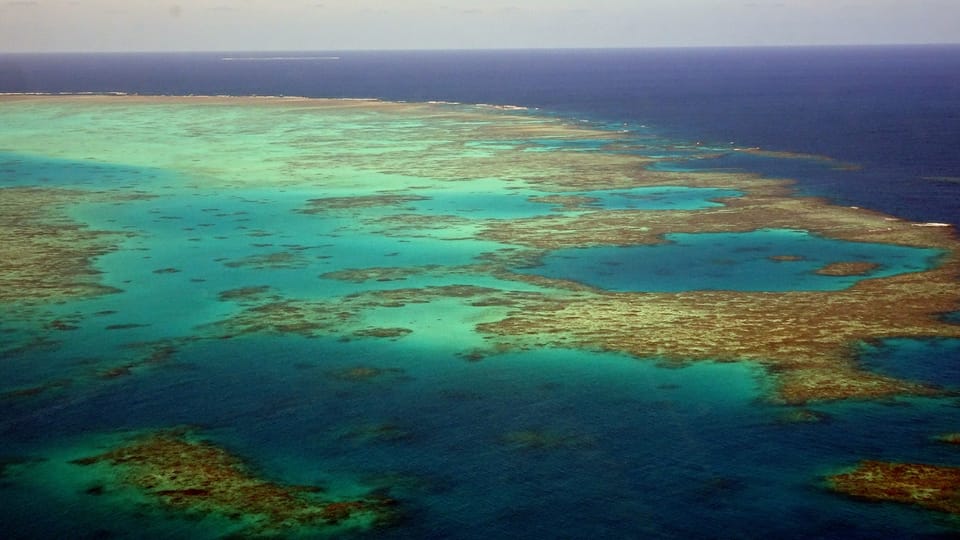 Great Barrier Reef: Unesco wartet mit Roter Liste zu
