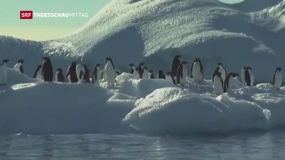 Meeresschutzgebiet in der Antarktis