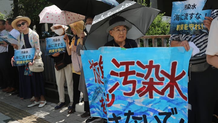 Archiv: Widerstand gegen Japans Pläne