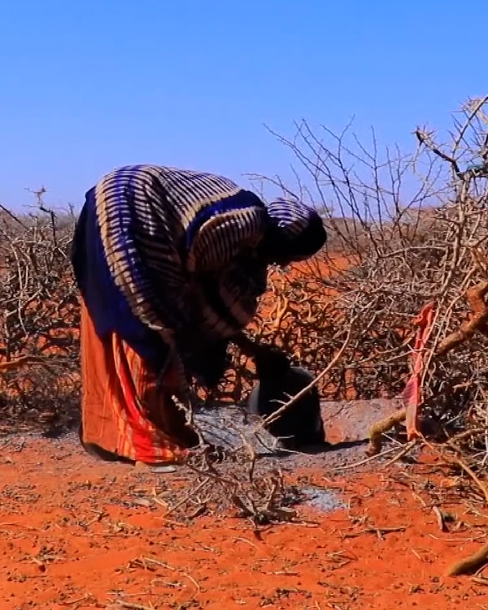 Aus dem Archiv: Somalia erlebt verheerende Dürre
