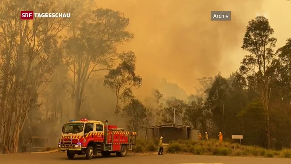 Serie «Nach den Schlagzeilen» – Buschbrände in Australien