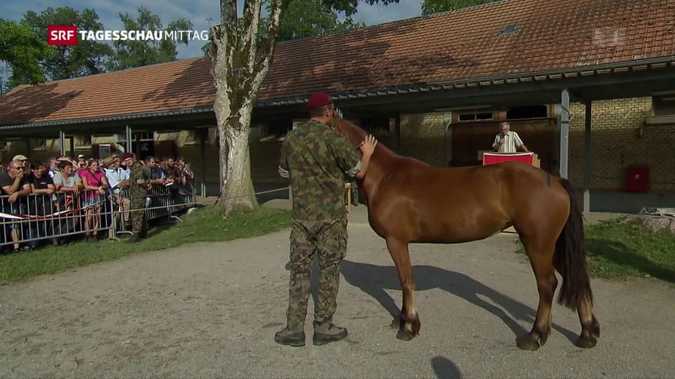 Verkauf der Pferde von Hefenhofen