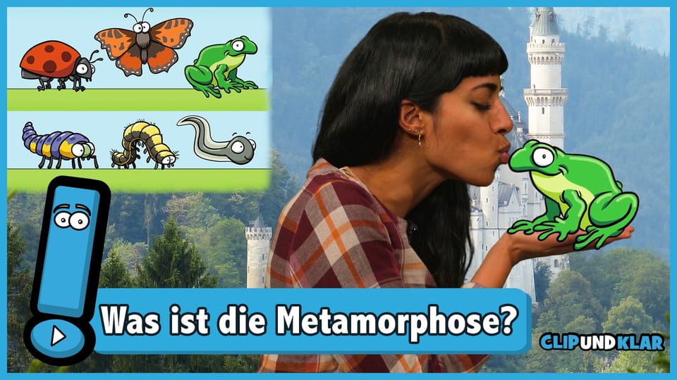 Was ist die Metamorphose?