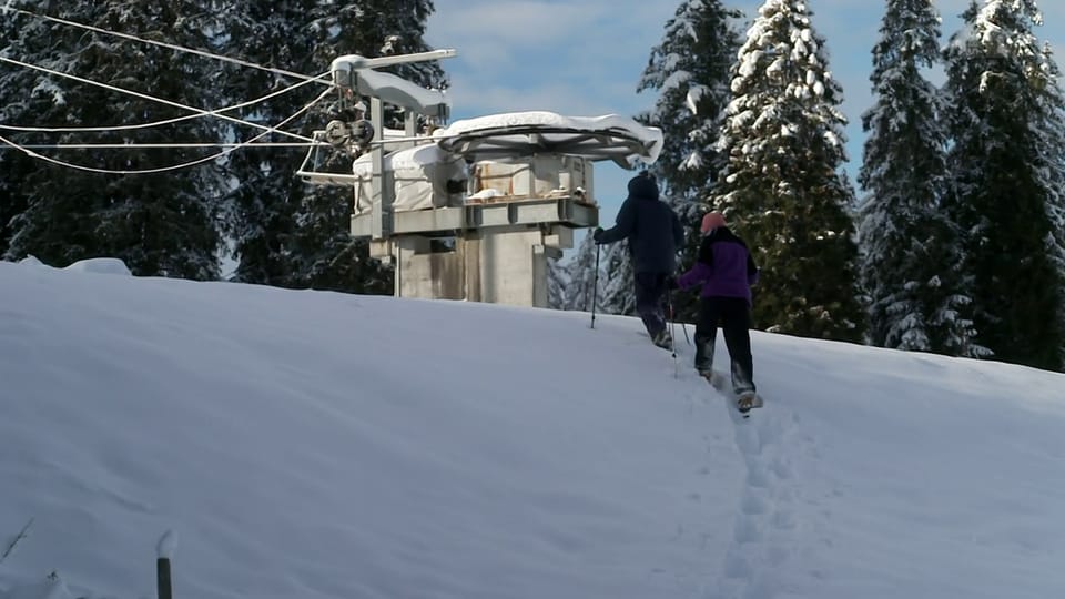 Alpenschützer gehen gegen stillgelegte Anlagen vor