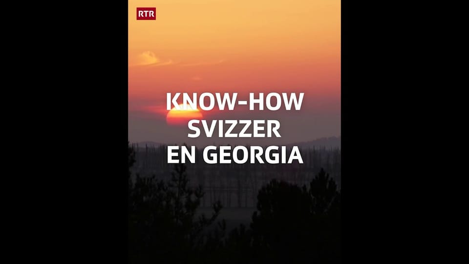 Know-How svizzer en Georgia