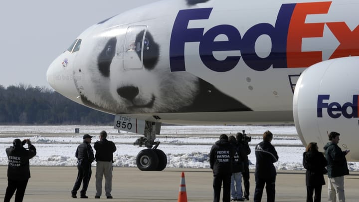 Archiv: China will neue Pandabären in die USA schicken