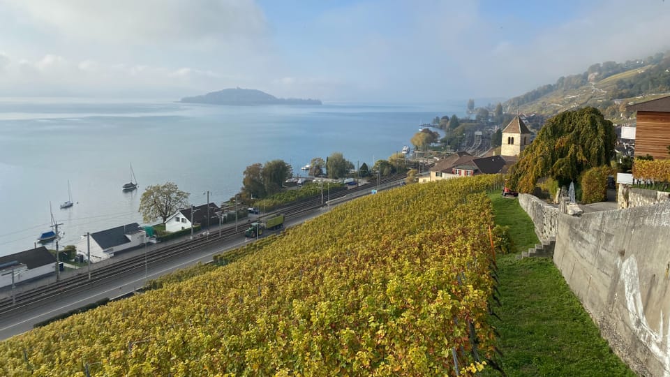 Kleine Weinregionen holen auf – zum Beispiel die Bielerseeregion