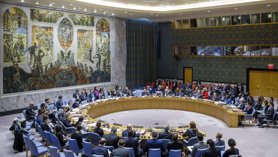 Deutschland übernimmt Vorsitz im UNO-Sicherheitsrat und die EU-Ratspräsidentschaft