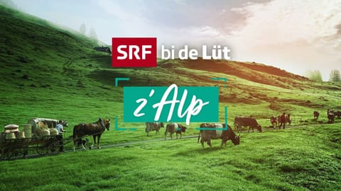 SRF bi de Lüt – Z'Alp