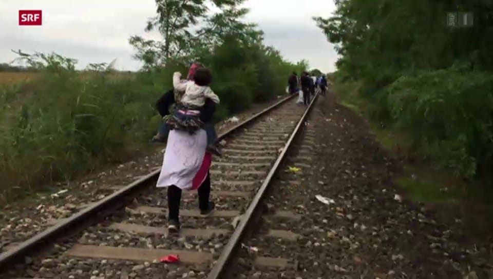 Flüchtlingsdrama an Ungarns Grenze