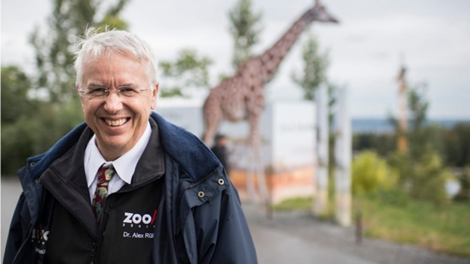 «Jetzt ist der richtige Zeitpunkt»: Zoodirektor Alex Rübel