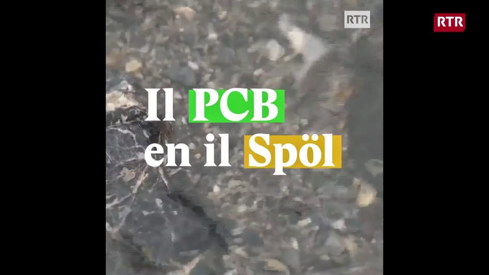 Il PCB en il Spöl