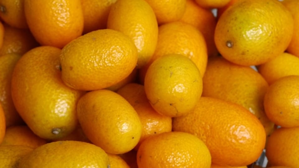 Kumquats - kleine Früchte mit viel Vitamin C