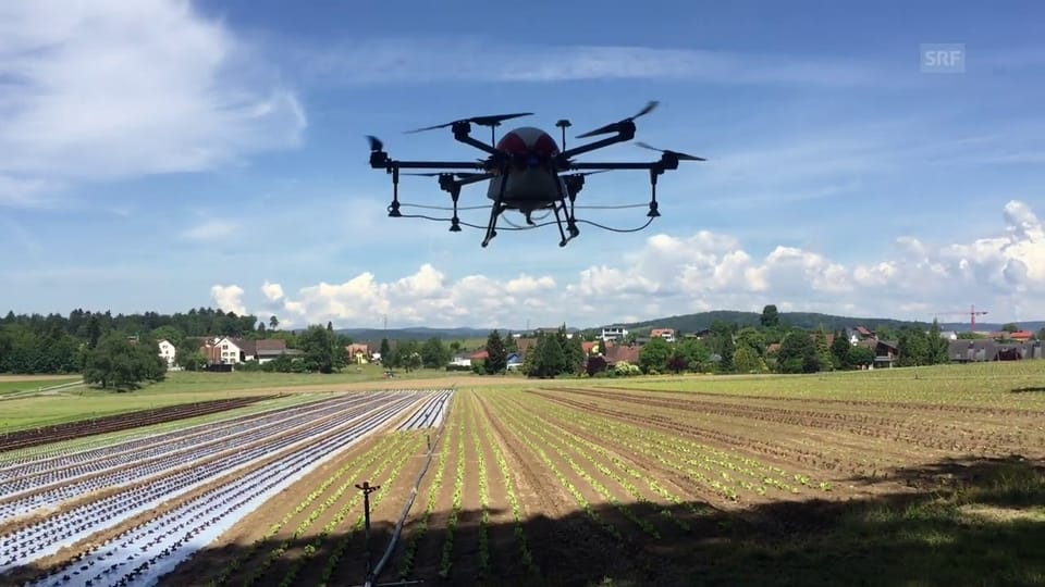 Ein Drohne sprüht Pflanzenschutzmittel