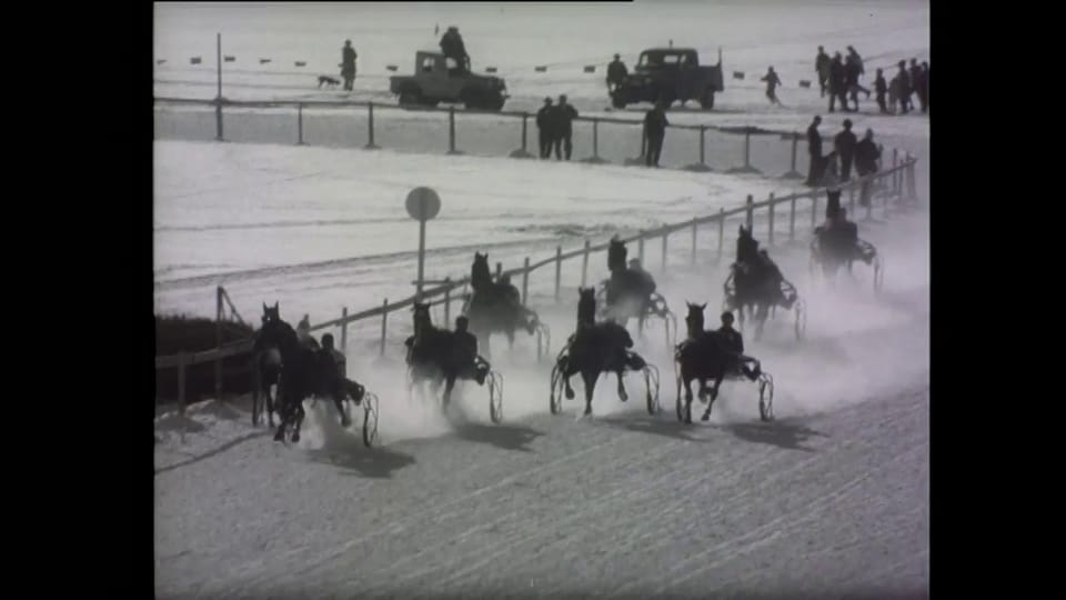 Skijöring in St. Moritz («Schweizer Filmwochenschau», 31.1.1964)