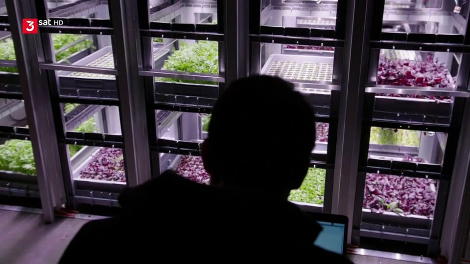 Vertical Farming: Salat von der Roboterfarm